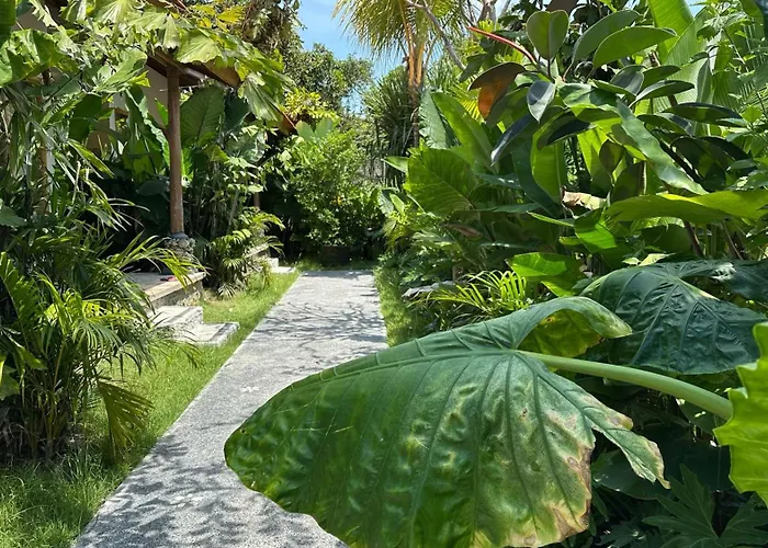 بيت ضيافة Teluk Menjangan Bali Pulau Menjangan