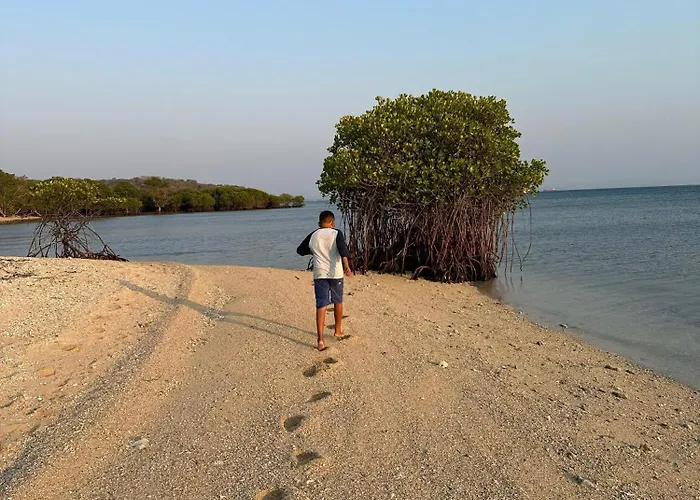 Teluk Menjangan Bali Gasthuis